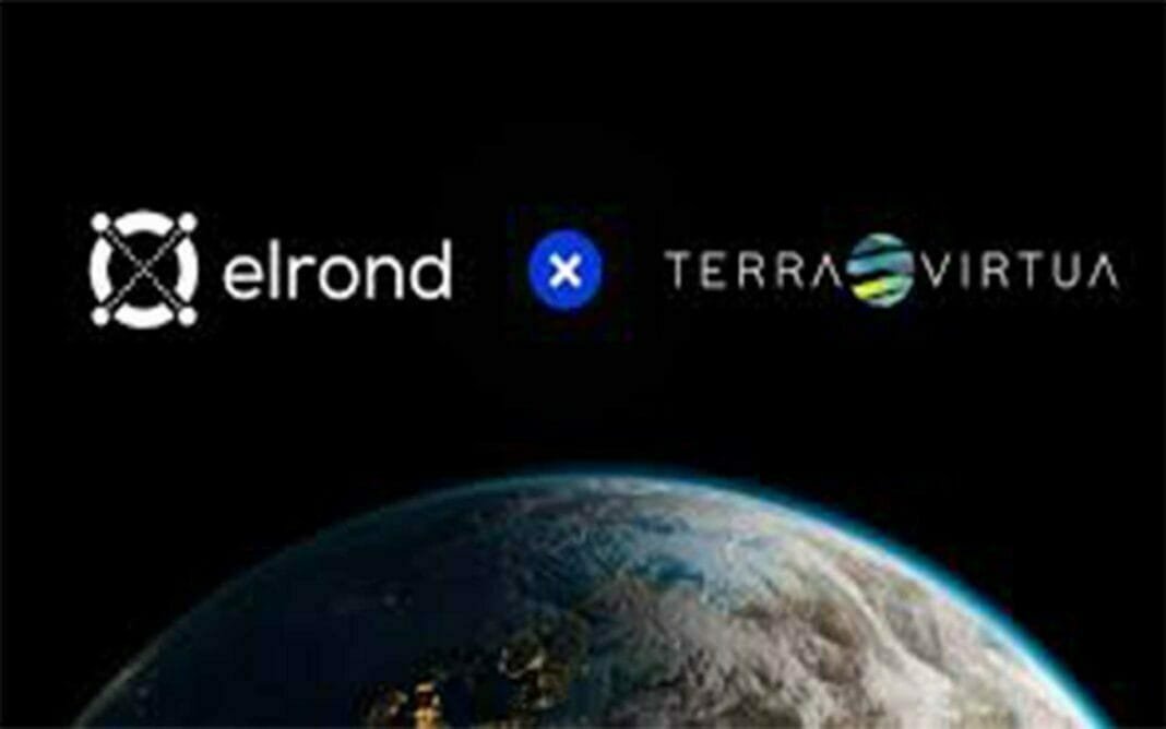 elrond terra virtua kripto hayat