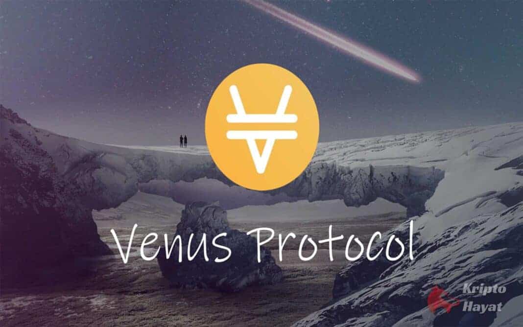 venus xvs token nedir kripto hayat venus xvs token nedir kripto hayat