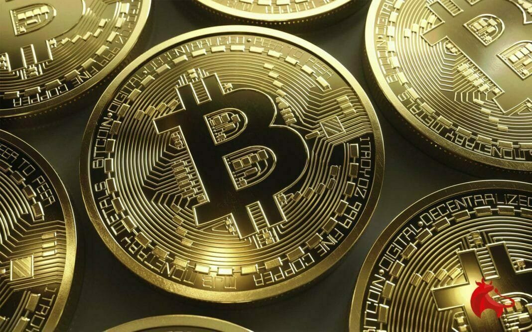 3btc kripto hayat