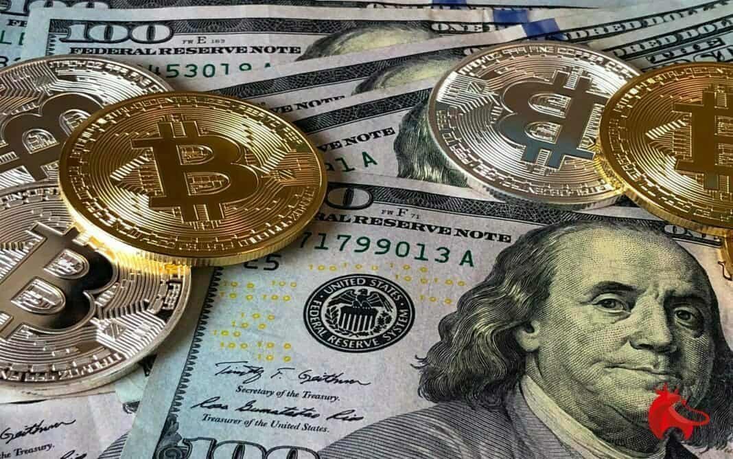 BTC dolar kripto hayat