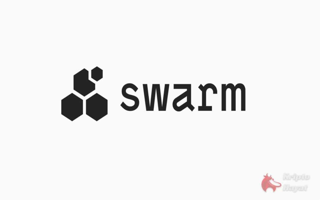 swarm bzz coin kripto hayat