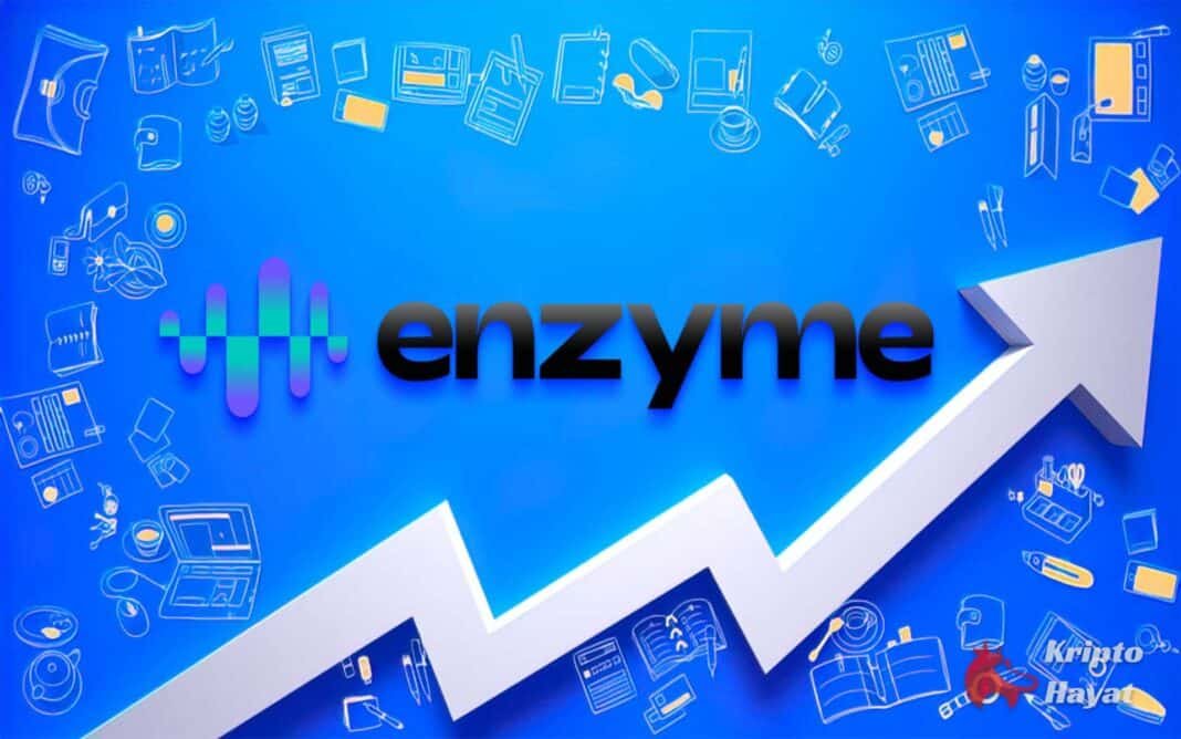 enzyme finance mln token nedir