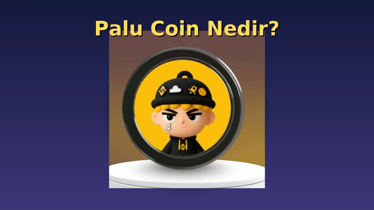 Palu Coin Nedir? | Kripto Hayat